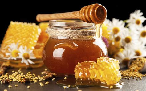 la miel de abeja el oro líquido de méxico méxico desconocido