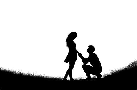 Download Couple Silhouette Love Royalty Free Stock Illustration
