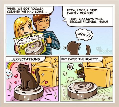 15 Comics That Purrfectly Capture Life With Cats Width Cat Jokes