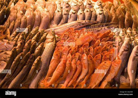 Fish Market On Road To Tajura Tripoli Libya North Africa Stock Photo
