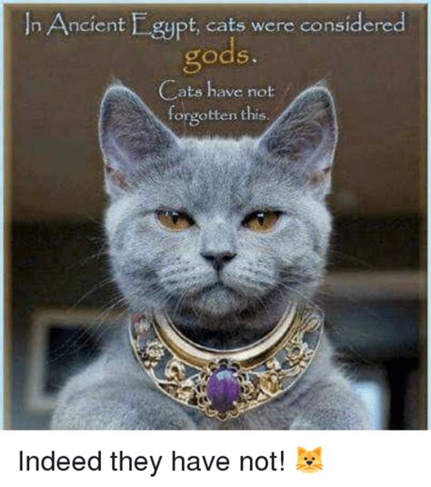 Generally speaking, olives are not toxic to cat.s. 11 ancient Egyptian memes that are too hilarious not to share