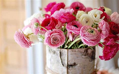 15 Flowers In Season In February For Wedding Everafterguide