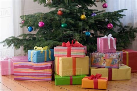 Christmas presents under the tree - Stock Photo - Dissolve