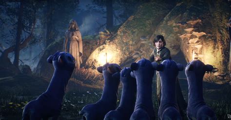 Hogwarts Legacy Harry Potter Ps Game Announced As Part Of Next Gen My