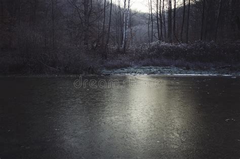 Lago In Foresta Scura Alla Notte Con Luce Della Luna Fotografia Stock