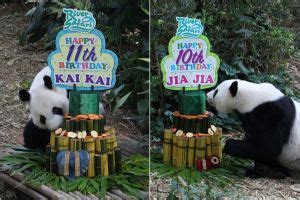A young boy named kai watched as that world was suddenly overwritten before his eyes. No panda baby for Kai Kai and Jia Jia: Latest artificial ...