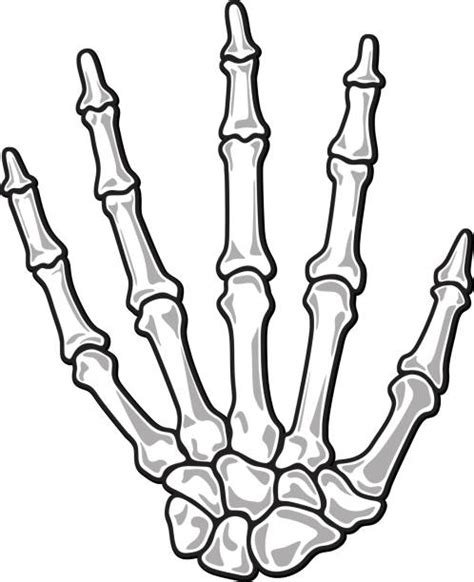 Royalty Free Skeleton Hand Clip Art Vector Images And Illustrations Istock