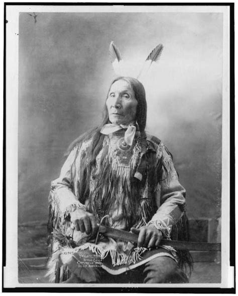 Lakota Sioux Nation Chief Yellow Hair Brule
