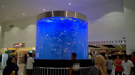 Check spelling or type a new query. Giant Plentong mall aquarium 360 - YouTube