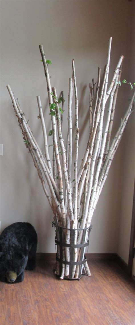 1 34 2 12 Set Of 3 Real White Birch Poles Branches Etsy Birch Trees