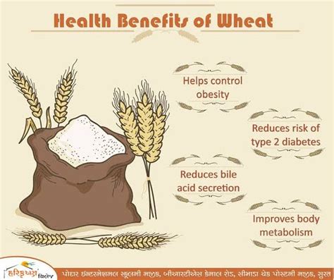 Benefits Of Wheat Mqubeng