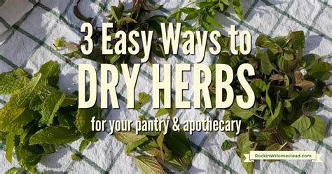 3 Easy Ways To Dry Herbs Rockin W Homestead