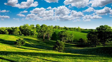 Beautiful Sunny Day Of Summer Nature Landscape Wallpaper