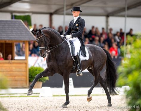 Join facebook to connect with edward gál and others you may know. Edward Gal: 'Het is wel de tiende keer, maar iedere keer ...