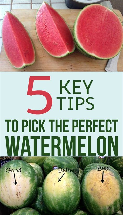 5 Key Tips To Pick The Perfect Watermelon Picking Watermelon