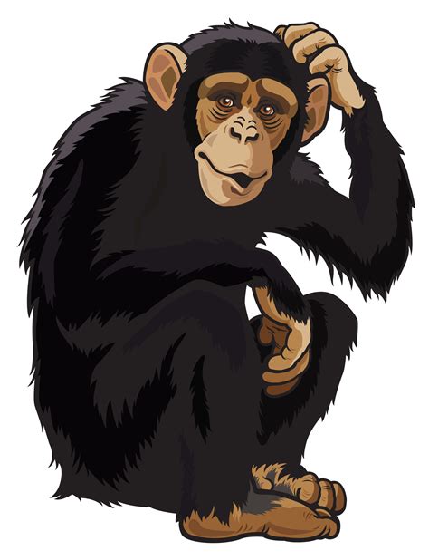 Monkey Png Clipart Image Wild Animals Vector Chimpanzee Animals Wild