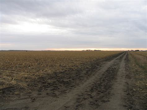 Nebraska Corn Field Photograph By Mark Norman