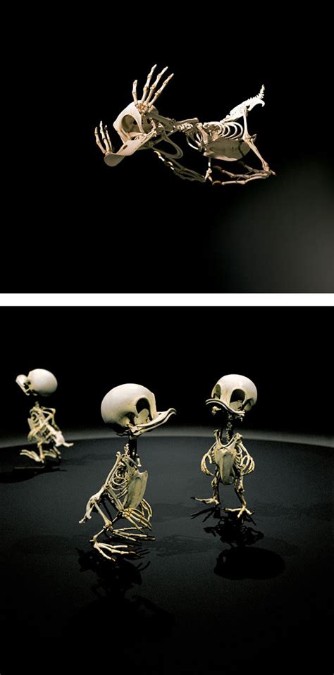Animatus Realistic Skeletons Of Famous Cartoon Characters By Hyungkoo
