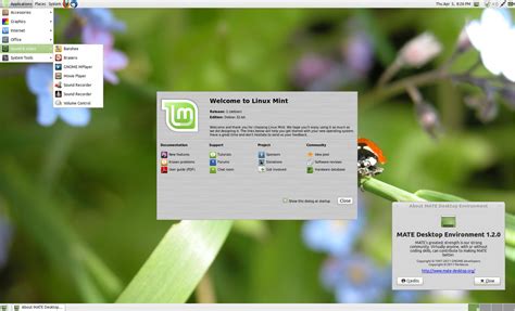Linux Mint Debian Update Pack 4 Goes Stable Cinnamon Gnome Shell And
