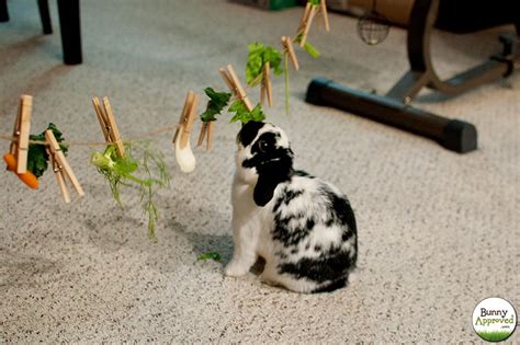sisal string clothespins and vegetables make for a very happy bunny this diy rabbit toy idea