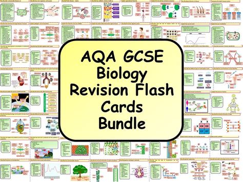 Ks4 Aqa Gcse Biology Revision Flashcard Bundle Teaching Resources