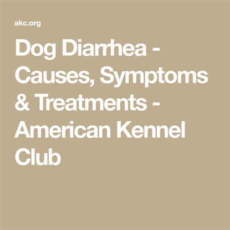 A Survival Guide For Dog Diarrhea Diarrhea Causes Dogs Dog Pumpkin
