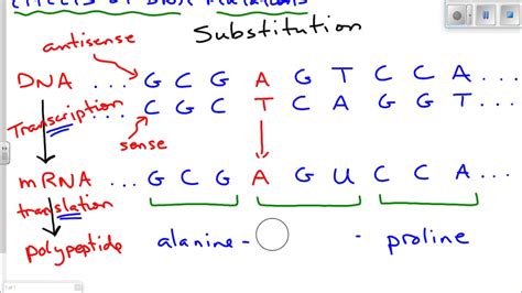 Dna and mutations webquest key dna replication webquest dna webquest answers dna and rna structure dna unit webquest dna and rna powerpoint dna and rna. Effects of DNA Mutations - YouTube