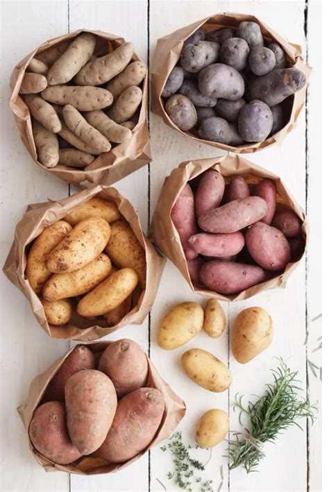 A Definitive Guide To 10 Types Of Potatoes Food Types Of Potatoes