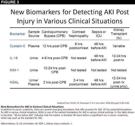 Which Marker Should We Use To Assess Acute Renal Injury American