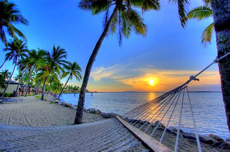 Beach Palm Tree Summer Sunset Image 210878 On
