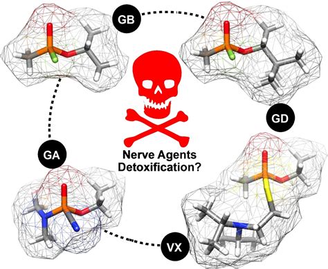 Molecular Recognition Of Nerve Agents And Their Organophosphorus