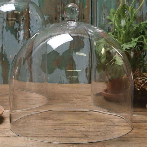 Homart Glass Dome Clear Large Glass Dome Glass Dome Cloche Glass
