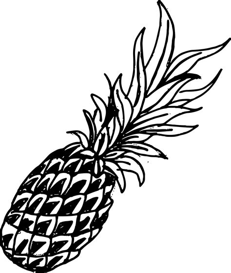 4 Pineapple Drawing (PNG Transparent) | OnlyGFX.com