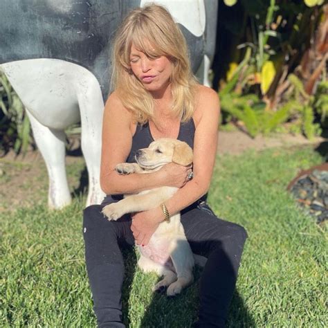 Goldie Hawn Introduces Adorable New Puppy Roy