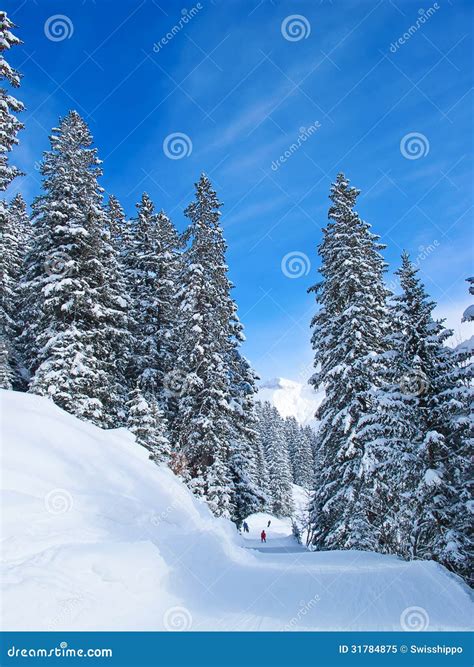 Skiing Slope Stock Image Image Of European Chill Alpine 31784875