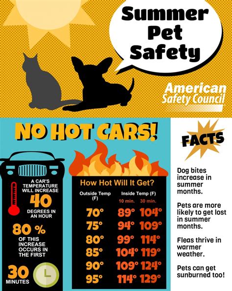 Pet Safety Series Heat And Summer Pet Safety American Safety Council Blog