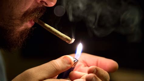 8 scientific reasons you should never smoke weed