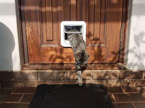 Accessories and parts ( including replacement pet door flaps ) are not interchangeable between brands or models from the same manufacturer, even if the. SureFlap Microchip Cat Flap installed in a wooden door ...