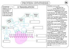 Chapter 10 active reading worksheets. A Level Biology Worksheet Pack on DNA and Protein Synthesis by beckystoke - Teaching Resources - Tes