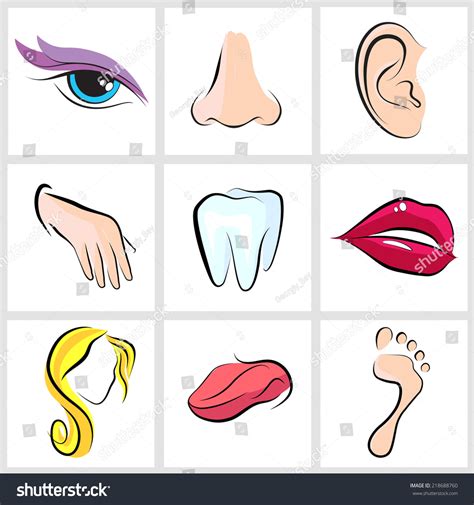 Set Icons With Flat Parts Of The Human Body Ear Nose Eyes Tongue Teeth Mouth Lips Head Arm Leg