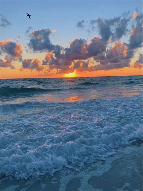 T I F F A N Y 💫👼☁️ Sunset Beach Pictures Sunset Pictures Florida