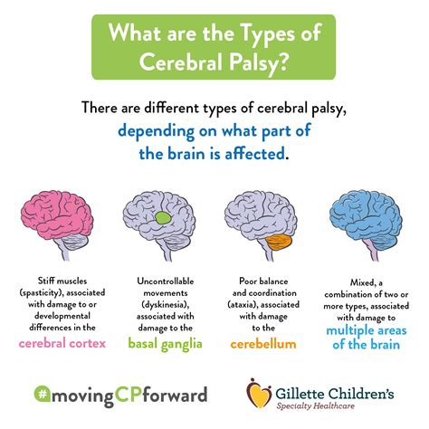 Understanding Cerebral Palsy Four Types Of Cerebral Palsy Succed