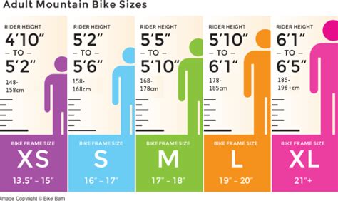 Specialized Size Chart Road Bike