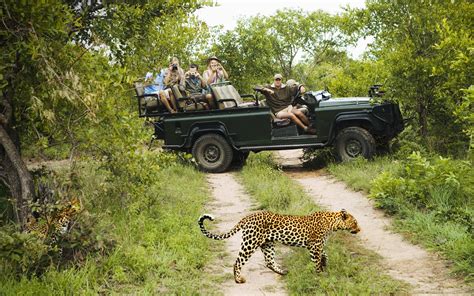 What Is A Game Drive Plus Things To Know Before You Go Ujuzi African