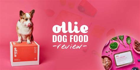 Foods made with fillers like corn, wheat, soy, or potatoes tend to have less meat and this means less taurine. Ollie Dog Food Review - Price, Delivery, Recipes, Benefits ...
