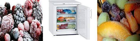 CON GUSTO: Quanto durano gli alimenti nel congelatore?
