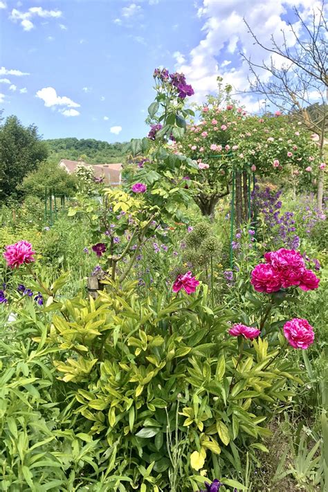 Bright Pink Peonies In Giverny Paris With Landen Day Trip From Paris Giverny French Garden