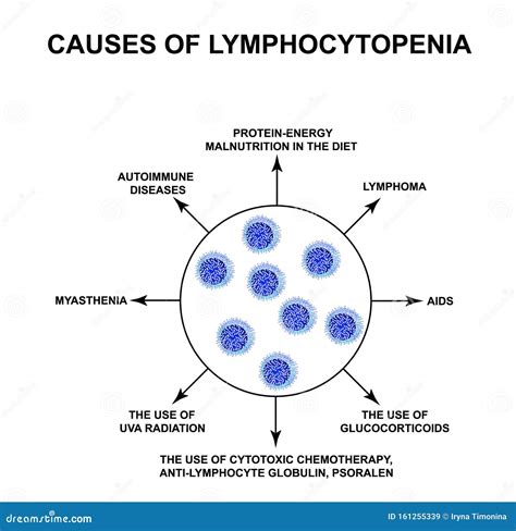 Causes Of Lymphocytopenia Decreased Lymphocytes In The Blood