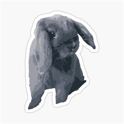 Baby Bunny Art Sticker By Carnagec Redbubble
