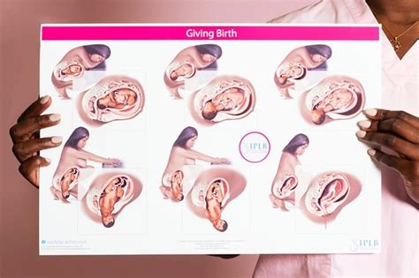Chart 5 Giving Birth Instant Download Etsy